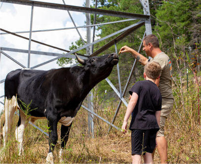 Homesteading father and son