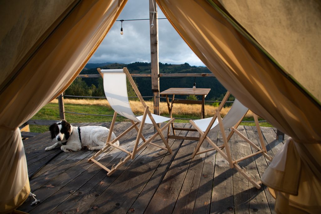 outside view of a safari tent on a north carolina glamping site